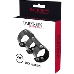 DARKNESS ADJUSTABLE LEATHER DOUBLE PENIS AND TESTICLES RING